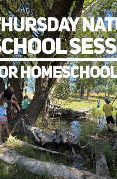 Homeschool Thursday Fall Session