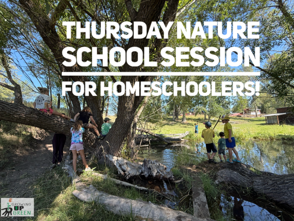 Homeschool Thursday Fall Session