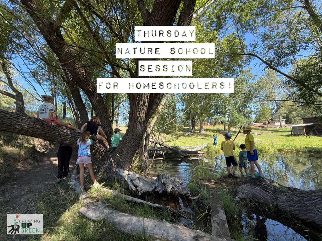 Homeschool Thursday Spring Session