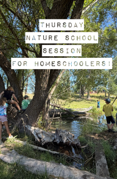 Homeschool Thursday Fall Session