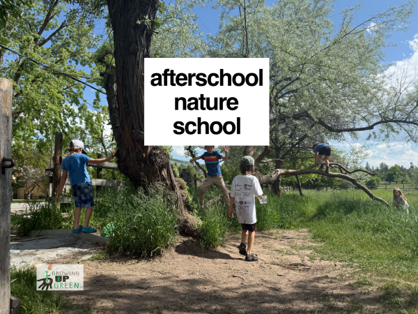 September 4th Afterschool- 3 hours