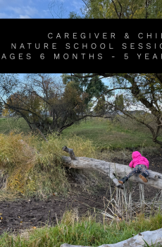 Caregiver/ Child Late Fall '25 Session- Mornings